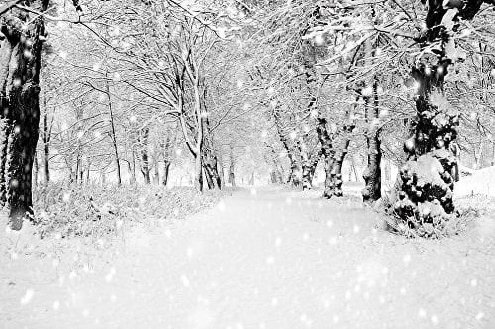 Fresh White Powder Snow Background From Outdoors On Winter Day Stock Photo,  Picture and Royalty Free Image. Image 17907530.