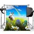 thumbnail image 1 of ABPHOTO Polyester 5x7ft Photography Backdrops Easter Theme Eggs Rabbit Flowers Green Grass Field Rainbow Scene Seamless Newborn Baby Toddlers Lover Portraits Background Photo Studio Props, 1 of 3