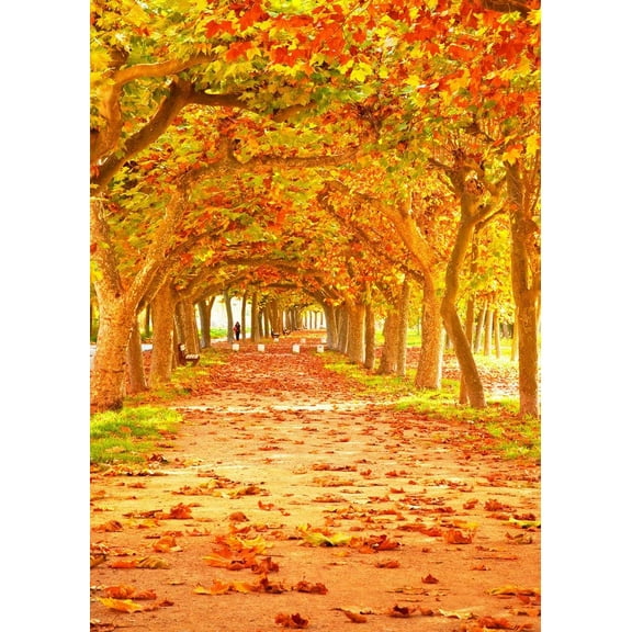 ABPHOTO Polyester 5x7ft Photography Background Photo Backdrop Autumn trees Props for Studio