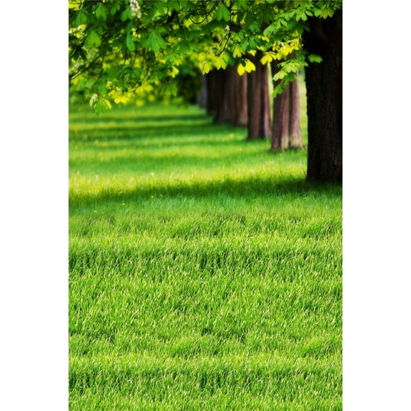 ABPHOTO Polyester 5x7ft Photography Backgrounds for Kids Portrait Photo Studio Props Green Grass Trees Land Nature Scenery Theme