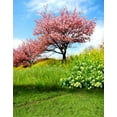 thumbnail image 1 of ABPHOTO Polyester 5x7ft Pink Flowers Tree Green Grass Photography Backdrops Photo Props Studio Background, 1 of 2