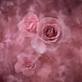 thumbnail image 1 of ABPHOTO Polyester 5x7ft Pink Rose Flower Photography Studio Backdrop Background, 1 of 2