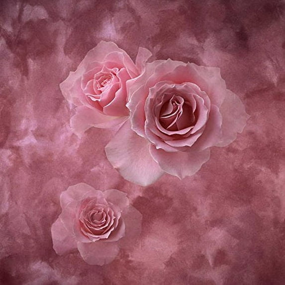 ABPHOTO Polyester 5x7ft Pink Rose Flower Photography Studio Backdrop Background