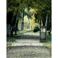 thumbnail image 1 of ABPHOTO Polyester 5x7ft Road Tree Photography Backdrops Photo Props Studio Background, 1 of 2