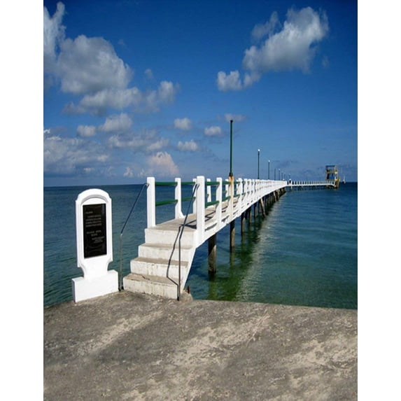 ABPHOTO Polyester 5x7ft Sea Bridge Photography Backdrops Photo Props Studio Background
