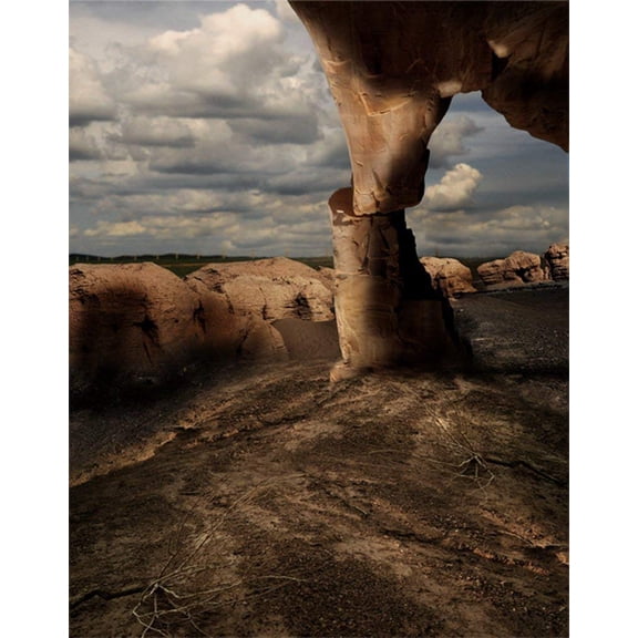 ABPHOTO Polyester 5x7ft Stone Wild Photography Backdrops Photo Props Studio Background