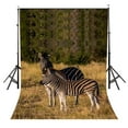 thumbnail image 1 of ABPHOTO Polyester 5x7ft Stopped Zebras Backdrop Outdoor Travel Photography Background Studio Props, 1 of 5