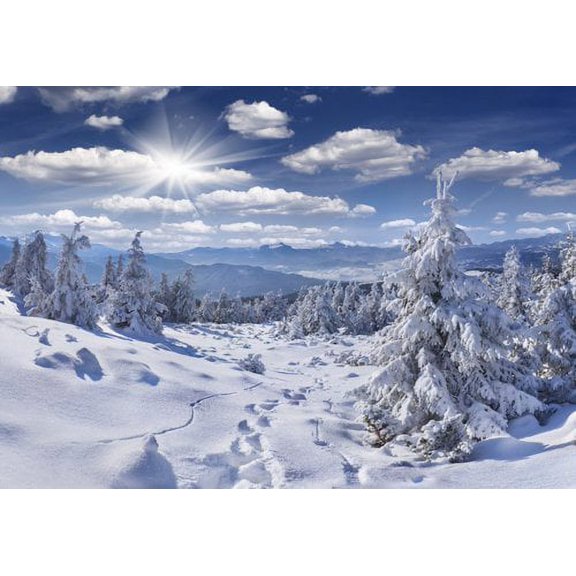 ABPHOTO Polyester 5x7ft White Snow forest backdrop Christmas Tree backdrop