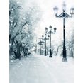 thumbnail image 1 of ABPHOTO Polyester 5x7ft Winter Snow Street Photography Backdrops Photo Props Studio Background, 1 of 2