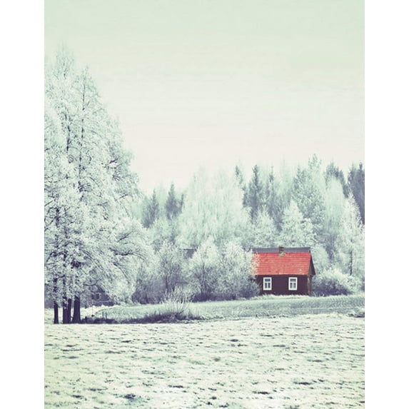 ABPHOTO Polyester 5x7ft Winter Snow Tree House Photography Backdrops Photo Props Studio Background