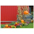 thumbnail image 1 of ABPHOTO Polyester 7x5ft Autumn Theme Pumpkin Photography Backdrops Red Farmhouse Wall Harvest Children Photo Backgrounds for Studio Props, 1 of 3