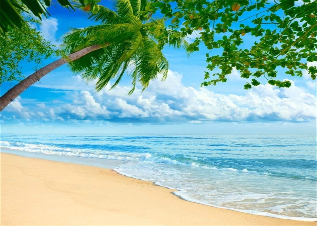 ABPHOTO Polyester 7x5ft Beach Photo Backdrop Seaside Blue Sky White