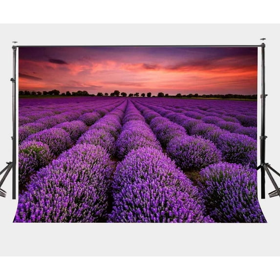 ABPHOTO Polyester 7x5ft Dusk View Backdrop Ultra Violet Lavender Garden Photography Background Color of the Year 2018 Love Wedding Party Photo Shooting Props