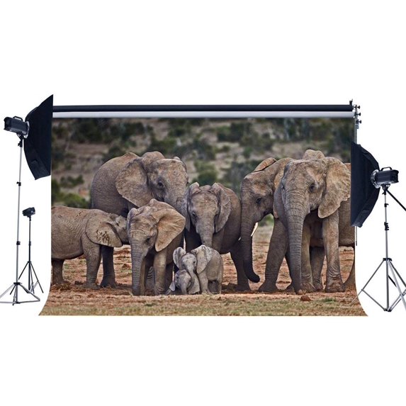 ABPHOTO Polyester 7x5ft Elephant Backdrop Nature Landscape Jungle Forest Backdrops Happy Mother's Day Sweet Love Photography Background for Boys Kids Thanks Mum Party Photo Studio Props