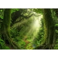 thumbnail image 1 of ABPHOTO Polyester 7x5ft Jungle Forest Backdrop Old Trees Green Vine Dirt Road Fairytale Backdrops for Photography Photo Background Kids Adults Portraits Studio Props, 1 of 4