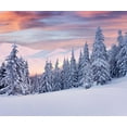 thumbnail image 1 of ABPHOTO Polyester 7x5ft Photography Backdrop Winter Sunset Photo Background Snow Fantasy Forest Backdrops, 1 of 2