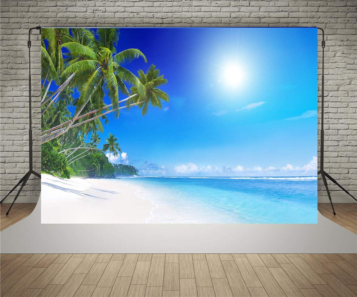ABPHOTO Polyester 7x5ft Seaside Photographic Backdrop Blue Sky Sun ...