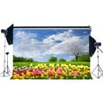 thumbnail image 1 of ABPHOTO Polyester 7x5ft Spring Backdrop Blooming Fresh Flowers Forest Trees Grass Meadow Blue Sky White Cloud Nature Outdoor Picnic and Hiking Photography Background Kids Adults Photo Studio Props, 1 of 3