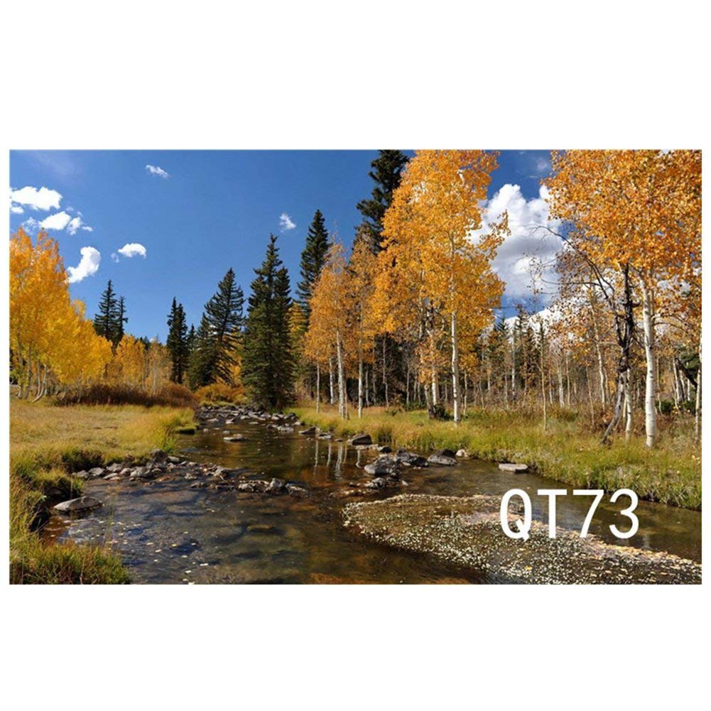 ABPHOTO Polyester 7x5ft The Brook in the Forest Fall Scenery ...