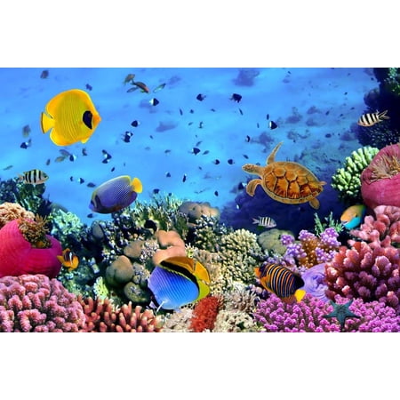 ABPHOTO Polyester 7x5ft Underwater World Backdrop Aquarium Fancy Corals Fish Starfish Tortoise Blue Water Summer Sea Journey Ocean Sailing Photography Background Kids Adults Photo Studio Props