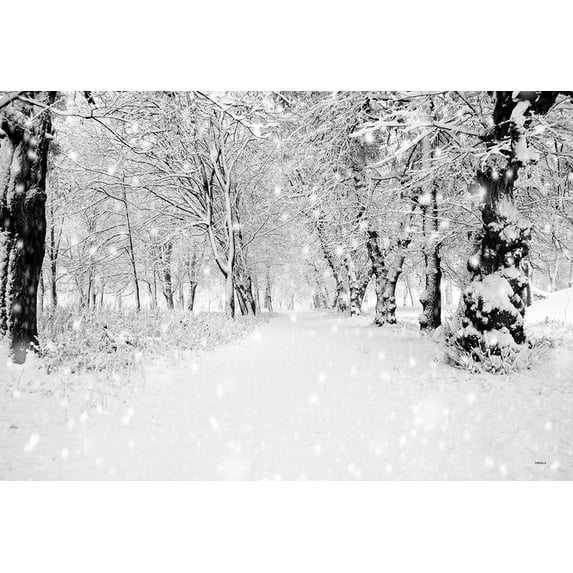 ABPHOTO Polyester 7x5ft White Accumulated Snow Woods Christmas Photography Backdrop Photo Background