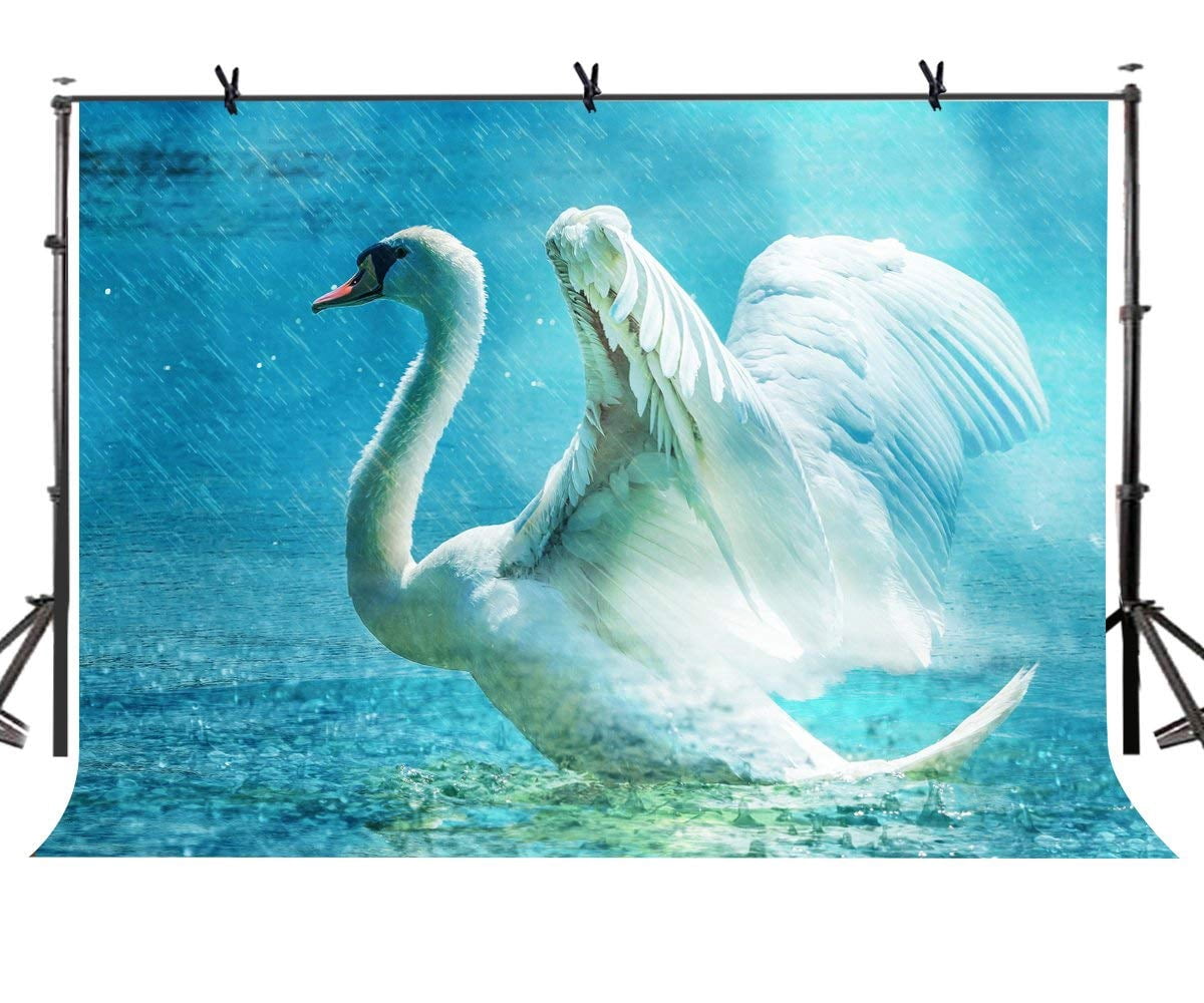 Menu Backdrop Swan ABPHOTO Polyester 7x5ft White Swan Backdrop White Swan Spreading Wings ...