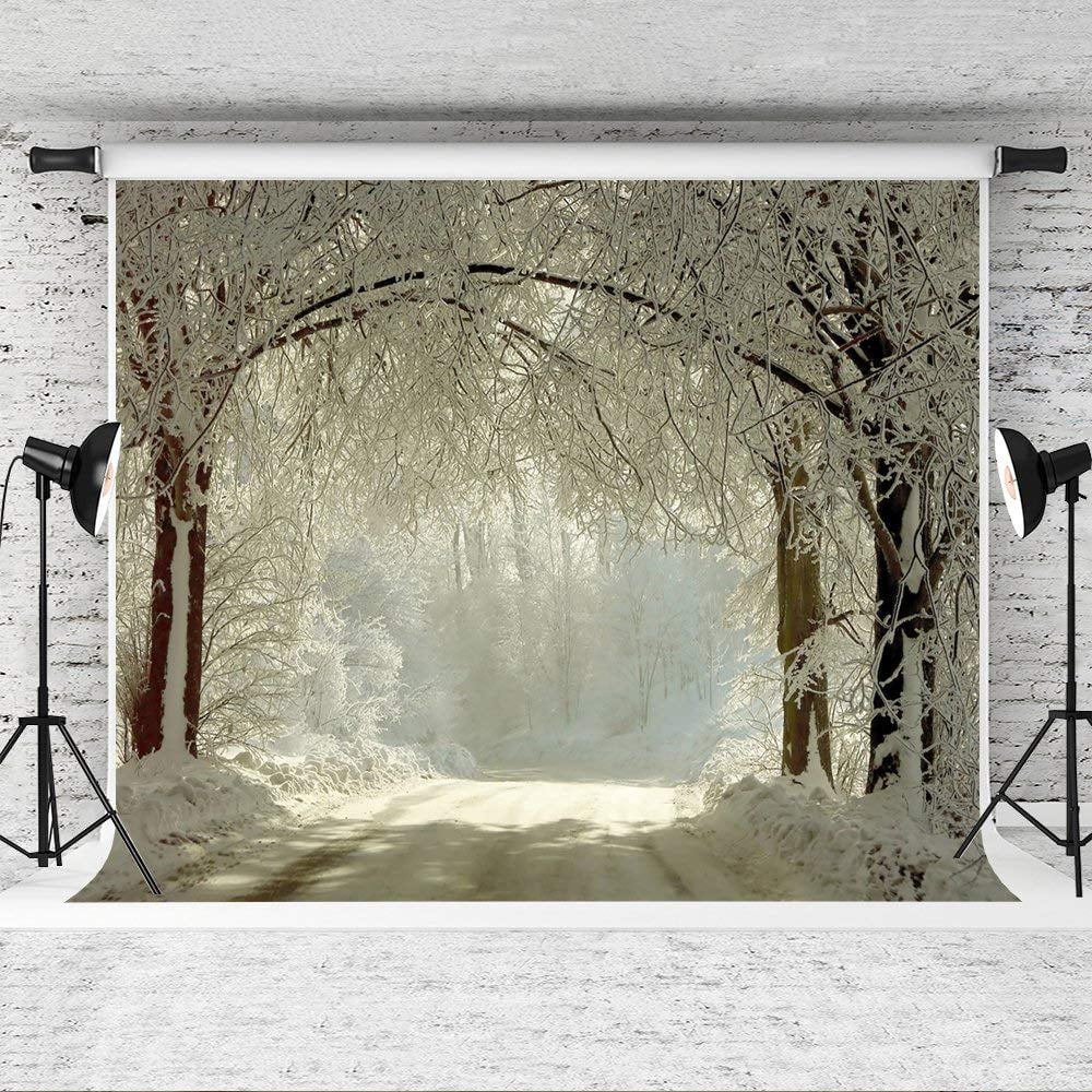ABPHOTO Polyester 7x5ft Winter Backdrops Photography Snow Frozen Forest ...