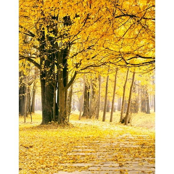 ABPHOTO Polyester Autumn Fall Season Scenery Yellow Orange Maple Trees Leaves Road 5x7ft Photography Backgrounds