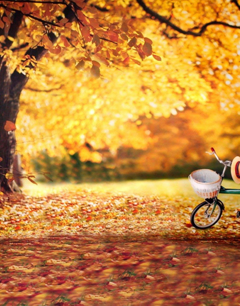 ABPHOTO Polyester Autumn Fall Season Scenery Yellow Orange Maple Trees ...