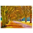thumbnail image 1 of ABPHOTO Polyester Autumn theme grass fallen leaves trees tree lined landscape Photography Backdrops Studio Background Photo Backdrops Studio Props 7x5ft, 1 of 3