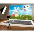 thumbnail image 1 of ABPHOTO Polyester Backdrop Easter Photography Backdrop Blue Sky Rabbit Butterfly Spring Background Backdrop for Parties Kids 7x5ft, 1 of 3