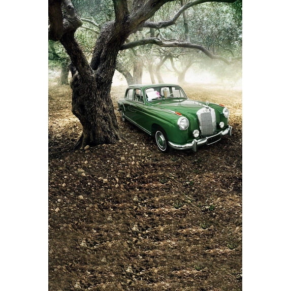 ABPHOTO Polyester Big Old Tree Car Foggy Mist Air Forest Vintage Mural Photo Backgrounds Studio 5x7ft Photography Backdrops