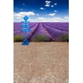 thumbnail image 1 of ABPHOTO Polyester Blue Cloudy Sky Purple Lavender Field Land Scenery Landscape Wedding Scene Studio Props 5x7ft Photo Backgrounds, 1 of 2