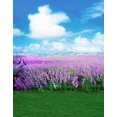 thumbnail image 1 of ABPHOTO Polyester Blue Sky White Cloud Purple Flowers Lavender Photography Backdrops Photo Props Studio Background 5x7ft, 1 of 2