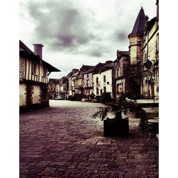 ABPHOTO Polyester Brick Road Vintage House Photography Backdrops Photo Props Studio Background 5x7ft