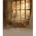 thumbnail image 1 of ABPHOTO Polyester Dusty Abandoned Grunge Foggy Smokey Room Window Sunset Dust Clouded Sky Birds 5x7ft Studio Props Photo Backgrounds, 1 of 2