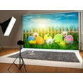 thumbnail image 1 of ABPHOTO Polyester Easter Background Blue Sky Cloud Wood Fence Backdrops for Photography Grass Spring Background Photo Booth Prop 7x5ft, 1 of 3