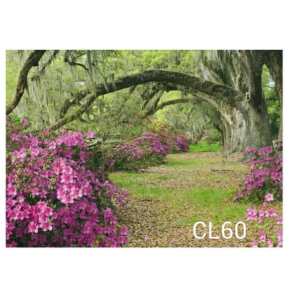 ABPHOTO Polyester Forest trees flowers green grass stone road scenery Photography Backdrops Studio Background Photo Backdrops Studio Props 7x5ft