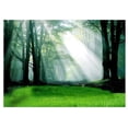 thumbnail image 1 of ABPHOTO Polyester Forest under The Sun Backdrops 7x5ft Photography Backgrounds Photo Props for Studio or Stage, 1 of 3