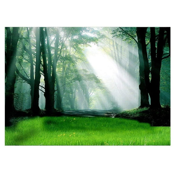 ABPHOTO Polyester Forest under The Sun Backdrops 7x5ft Photography Backgrounds Photo Props for Studio or Stage