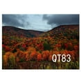 thumbnail image 1 of ABPHOTO Polyester Full Mountain Trees Fall Scenery Photography Backdrops Studio Background Photo Backdrops Studio Props 7x5ft, 1 of 3