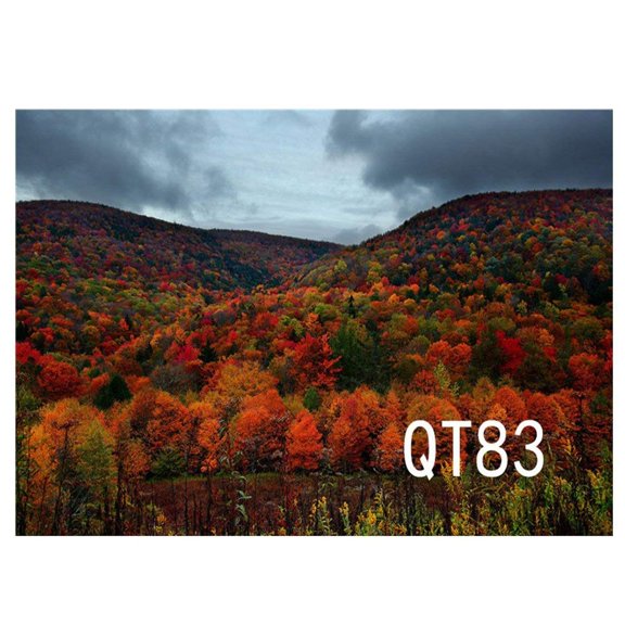 ABPHOTO Polyester Full Mountain Trees Fall Scenery Photography Backdrops Studio Background Photo Backdrops Studio Props 7x5ft