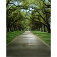 thumbnail image 1 of ABPHOTO Polyester Green Tree Road Photography Backdrops Photo Props Studio Background 5x7ft, 1 of 2