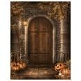 thumbnail image 1 of ABPHOTO Polyester Halloween Photography Backdrop Retro Door Photo Background 5x7ft, 1 of 3