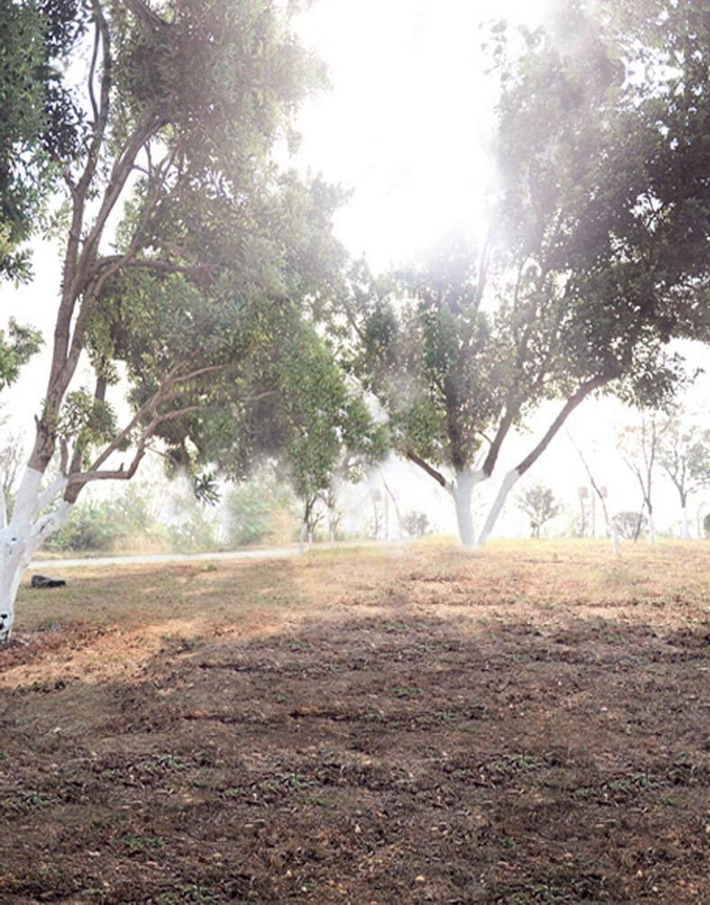 ABPHOTO Polyester Landscape Green Tree Photography Backdrops Photo ...