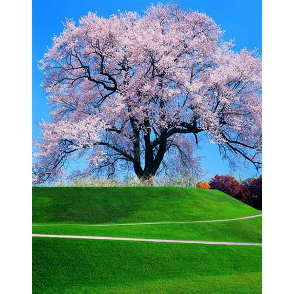 ABPHOTO Polyester Landscape Pink Flowers Tree Grass Photography Backdrops Photo Props Studio Background 5x7ft