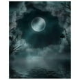 thumbnail image 1 of ABPHOTO Polyester Moon Background Scenic Background for Studio Photo Props Moon Photographic Backdrops 5x7ft, 1 of 3