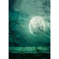 thumbnail image 1 of ABPHOTO Polyester Moon Photography Backdrops Children Photo Props for Studio Scenic Background 5x7ft, 1 of 2