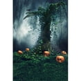 thumbnail image 1 of ABPHOTO Polyester Mysterious Forest Pumpkins Photography Backdrop Halloween Holiday Old Tree Spider Web Children Kids Photo Shoot Backgrounds for Studio 5x7ft, 1 of 2