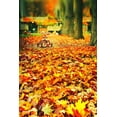 thumbnail image 1 of ABPHOTO Polyester Orange Yellow Maple Tree Leaf Path Road Mist Forest Wedding Studio Photography Backdrops 5x7ft, 1 of 2